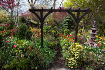 Картинка природа парк