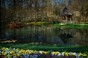 Картинка природа парк лес озеро беседка водоем