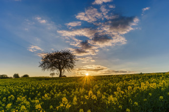 Картинка природа восходы закаты простор