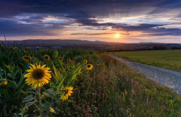 Картинка природа восходы закаты простор