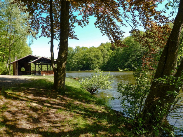 Обои картинки фото природа, лес, лето, деревья