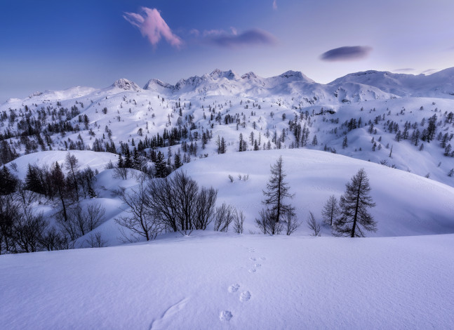 Обои картинки фото природа, зима, простор