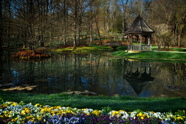 Обои картинки фото природа, парк, лес, озеро, беседка, водоем