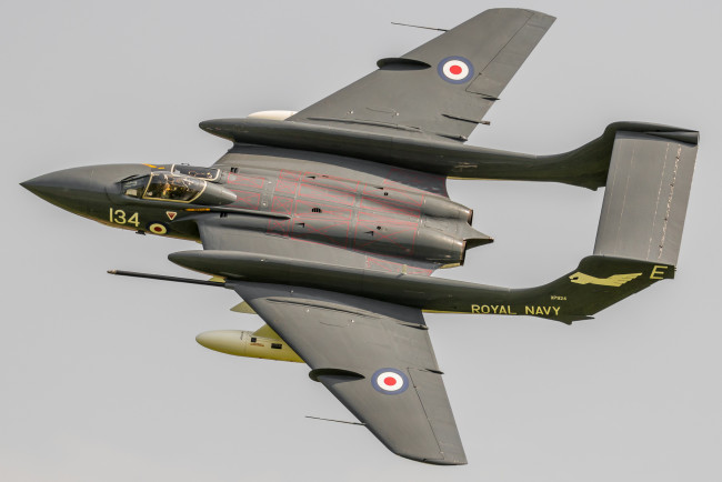 Обои картинки фото sea vixen, авиация, боевые самолёты, ввс