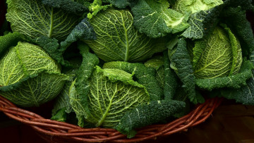 Картинка еда капуста+и+её+разновидности савойская капуста кочаны