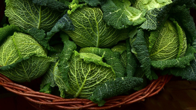 Обои картинки фото еда, капуста и её разновидности, савойская, капуста, кочаны