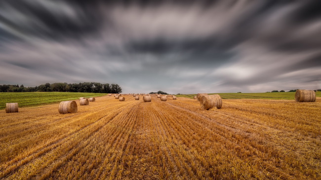 Обои картинки фото природа, поля, поле