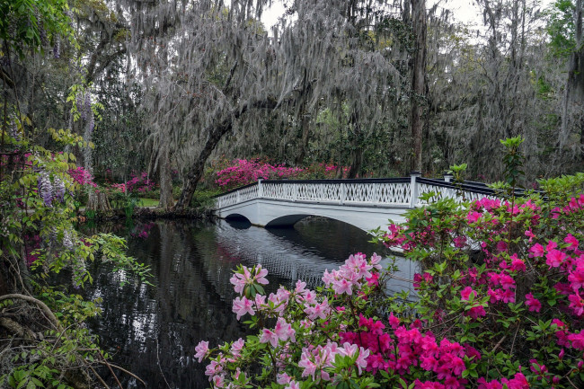 Обои картинки фото природа, парк, водоем, мостик