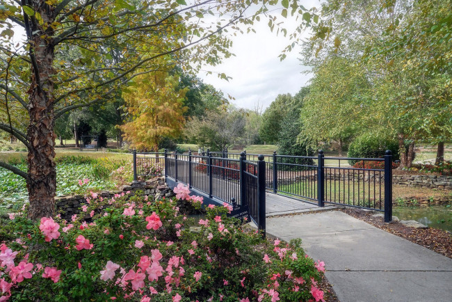 Обои картинки фото природа, парк, аллея, клумба