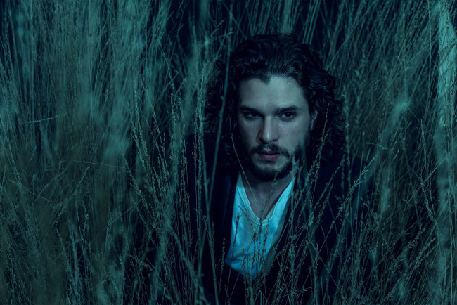 Обои картинки фото мужчины, kit harington, kit, harington