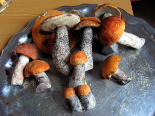 Картинка еда грибы +грибные+блюда подосиновики