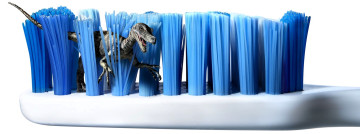 обоя юмор и приколы, зубная, щетка, щетина, динозавр