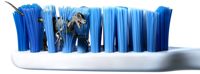 Обои картинки фото юмор и приколы, зубная, щетка, щетина, динозавр