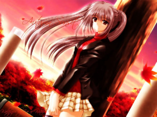 Картинка аниме *unknown другое