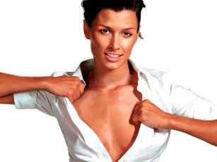 обоя векторная, графика