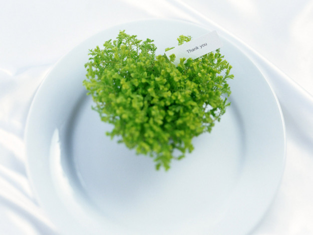 Обои картинки фото цветы