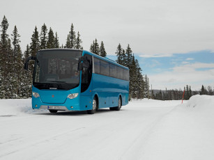 Картинка автомобили автобусы