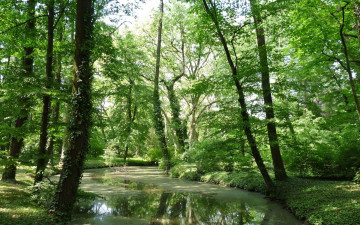 Картинка природа реки озера