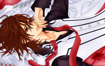 Картинка аниме vampire knight