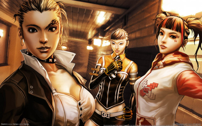 Обои картинки фото slapshot, видео, игры