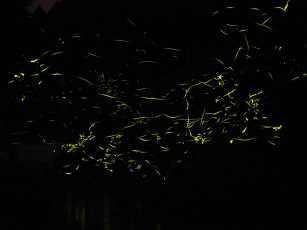 Картинка 3д графика abstract абстракции