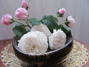 Картинка розы цветы