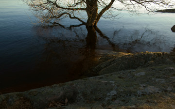 Картинка природа реки озера