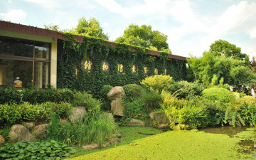 Картинка разное сооружения постройки плющ