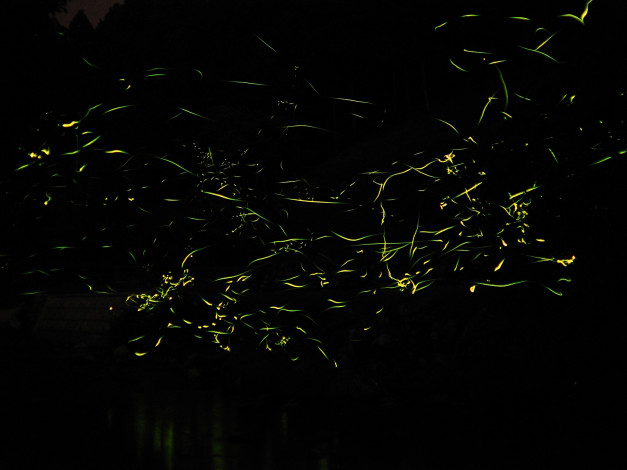 Обои картинки фото 3д, графика, abstract, абстракции