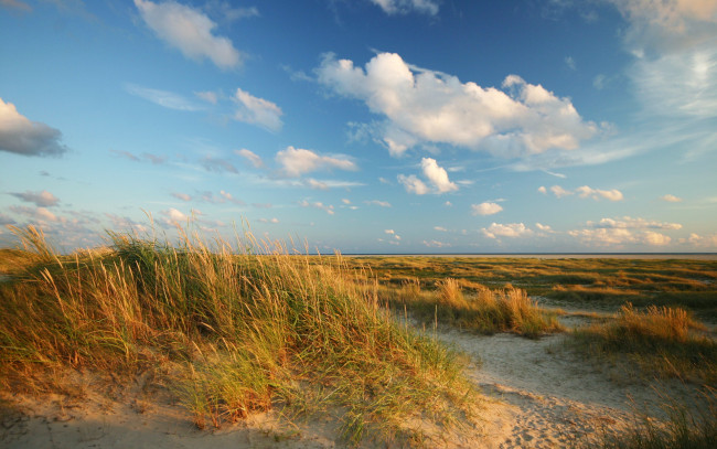 Обои картинки фото природа, другое