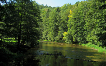 Картинка природа реки озера река деревья