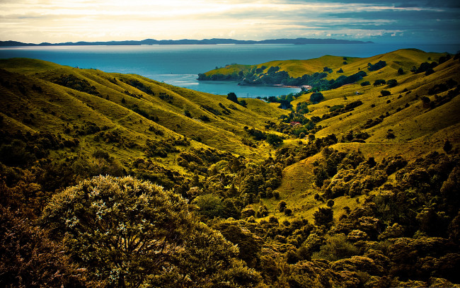 Обои картинки фото природа, побережье, растительность, мыс, лощина, холмы