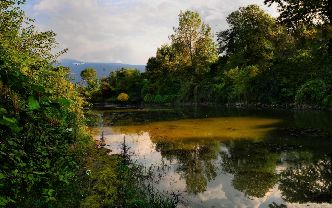 Обои картинки фото природа, реки, озера, река, лес, лето