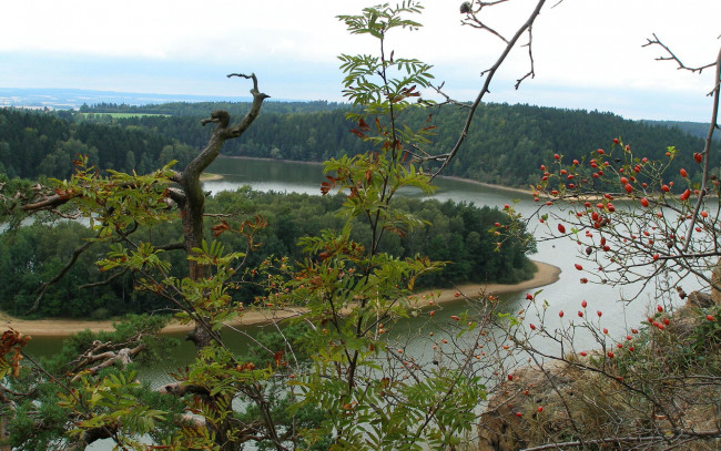 Обои картинки фото природа, реки, озера, ягоды, река, остров, деревья, куст