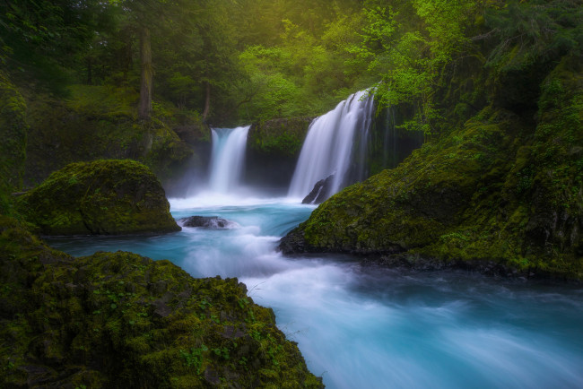 Обои картинки фото природа, водопады, колумбия, река, водопад, вашингтон, сша, штат, зелень, растения