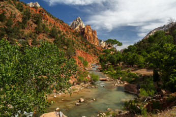 Картинка природа реки озера река лес