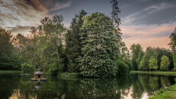 Картинка природа реки озера река лес