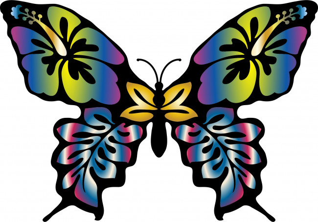 Обои картинки фото векторная графика, животные , animals, бабочка