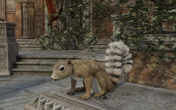 Картинка 3д+графика животные+ animals белка