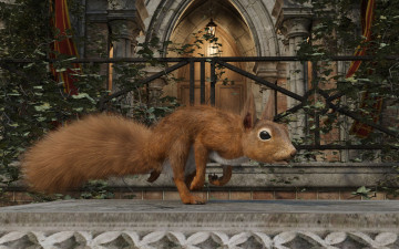 Картинка 3д+графика животные+ animals белка