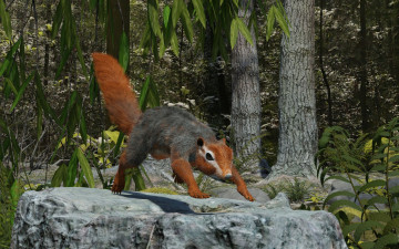 Картинка 3д+графика животные+ animals белка