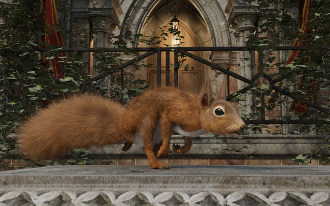 Обои картинки фото 3д графика, животные , animals, белка