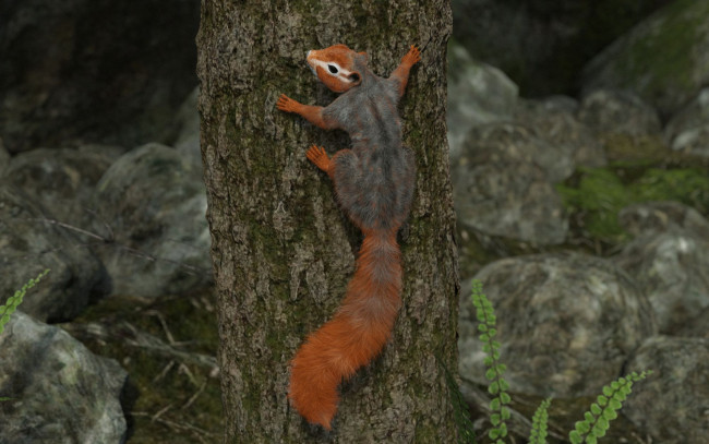 Обои картинки фото 3д графика, животные , animals, белка