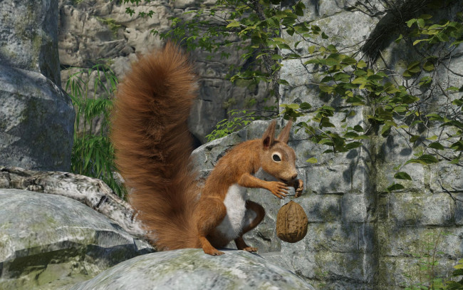 Обои картинки фото 3д графика, животные , animals, белка