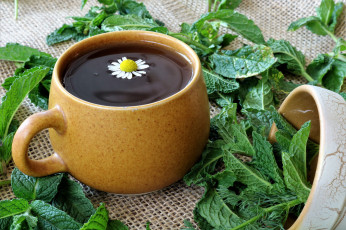 Картинка еда кофе +кофейные+зёрна напиток