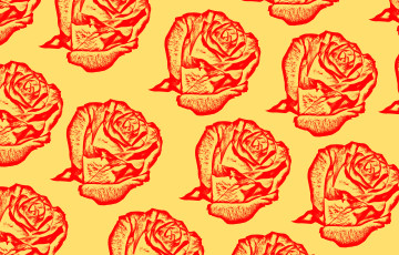 обоя разное, текстуры, розы, орнамент