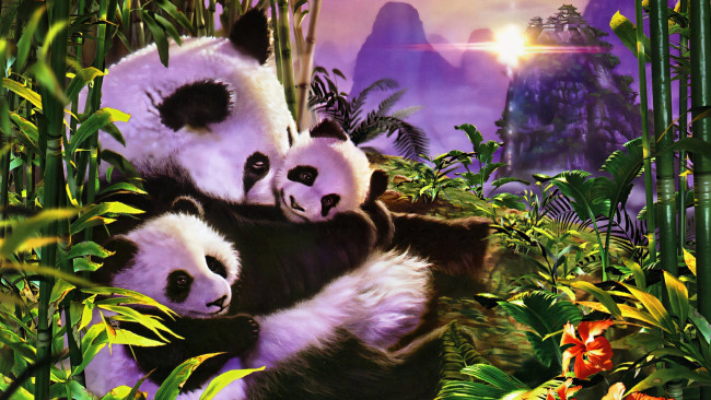 Обои картинки фото 295783, рисованное, животные,  панды, панда