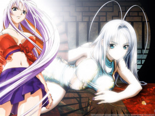 Картинка аниме tenjou tenge