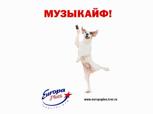 Картинка европа плюс тверь бренды europa plus