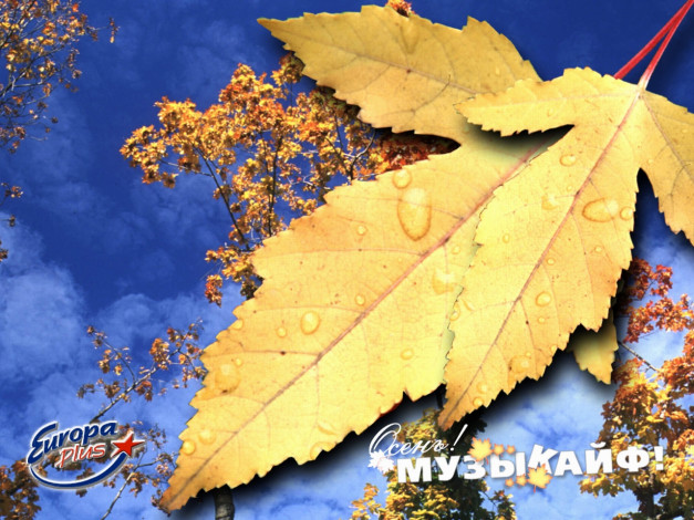 Обои картинки фото европа, плюс, тверь, бренды, europa, plus